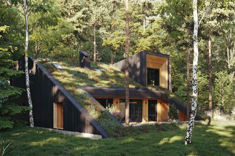 Living Green Roof, Green Roof House, Passive House Design, Passive Design, Living Roofs, Photovoltaic Panels, House Blend, Zaha Hadid Architects, House Features