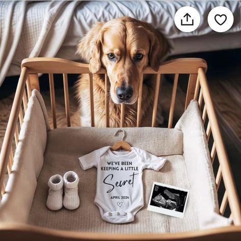 Baby Reveal With Dog, Baby Announcement Photoshoot With Dogs, Baby Announcing Ideas With Dog, Baby Announcement With Dog, Pregnancy Announcement With Dog, Pregnancy Reveal To Family, Baby Announcement Dog, Pet Pregnancy Announcement, Pregnancy Announcement Dog