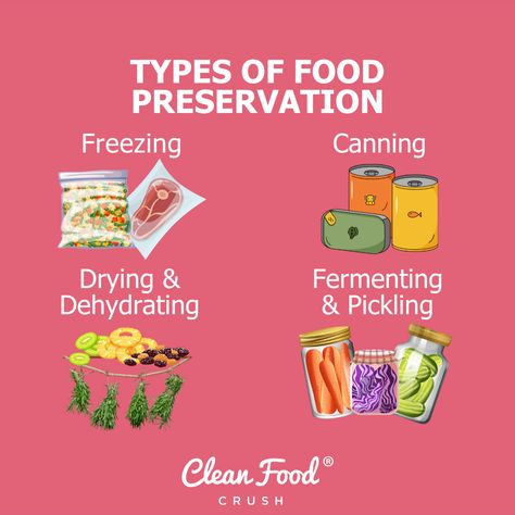 Simple Methods For Food Preservation | Clean Food Crush Food Preservation Methods, Healthy Practices, Small Cabbage, Meal Prep Clean Eating, Food Technology, Clean Food Crush, Pickled Veggies, Food Crush, Clean Food