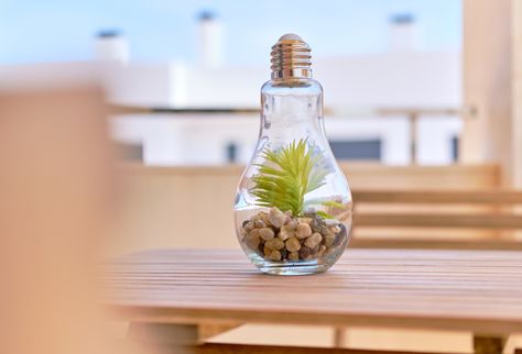 Crafty Creator Uses Dollar Store Lightbulbs To Create Adorable Terrariums - Home & Garden News Light Up Terrarium, Lightbulb Terrarium, Mini Bottle Terrarium, Small Bottle Terrarium, Bulb Terrarium, Dollar Tree Light Bulb Terrarium, Fake Succulents, Mini Terrarium, Lightbulbs