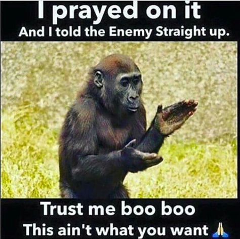 You don't want none of this* : ) Female Gorilla, Christian Jokes, In Your Face, Christian Humor, Christian Memes, Not Today, I Pray, Trust Me, Christian Quotes