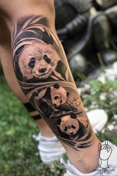 Panda Leg Tattoo, Panda Japanese Tattoo, Panda Sleeve Tattoo, Panda Family Tattoo, Realistic Panda Tattoo, Japanese Panda Tattoo, Panda Tattoo Men, Tato Panda, Tattoo Panda