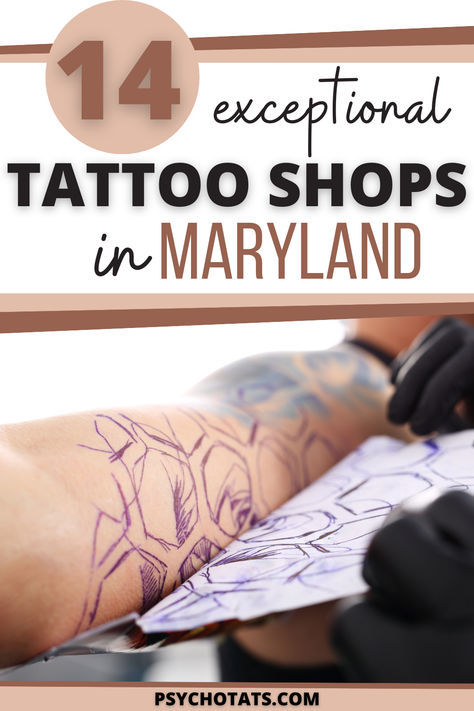 tattoo shops in maryland Maryland Tattoo, Bird Tattoo, Next Tattoo, New Tattoo, Birds Tattoo, Tattoo Tattoo, Tattoo Shop, New Tattoos, Maryland