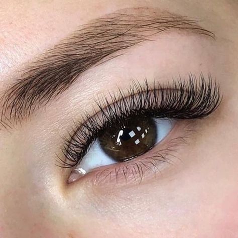 Hybrid Eyelashes, Eyelash Extensions Care, Eyelash Extensions Classic, Natural Fake Eyelashes, Lashes Fake Eyelashes, Skincare Hacks, Lash Extensions Styles, Eyelash Extensions Styles, Perfect Eyelashes