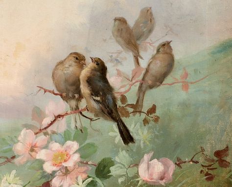 Simerenya — Aurelio Tolosa - Aves y flores (detail) Birds, Flowers, Pink