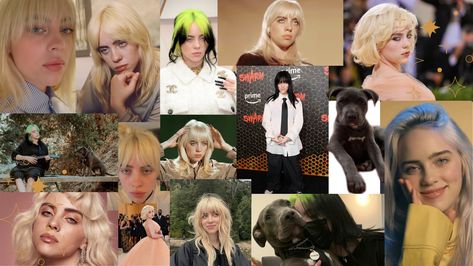 billie eilish collage i made for any laptop :) Billie Eilish Collage Wallpaper Laptop, Billie Eilish Wallpaper For Laptop, She Ra, Melanie Martinez, Billie Eilish