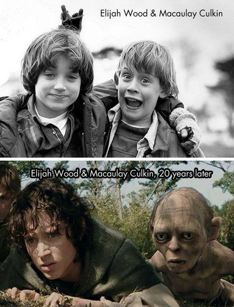 Frodo, Gollum / Elijah Wood, Macaulay Culkin Lotr Funny, Silly Funny, Macaulay Culkin, Elijah Wood, Legolas, The Rings, Tolkien, Lord Of The Rings, Bones Funny