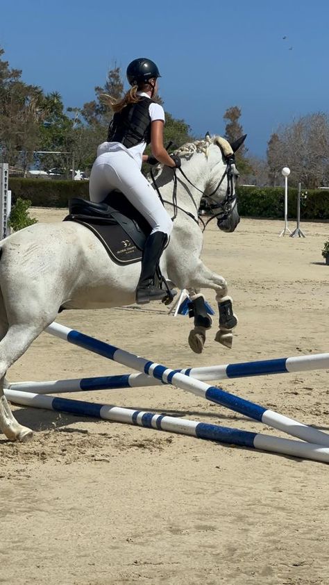 Free Jumping Horse, Lesson Horse, Aesthetic Horse Riding, Cute Horse Riding Outfits, Horsey Life, Horse Riding Aesthetic, Equestrian Photography, Pictures With Horses, Horse Riding Outfit