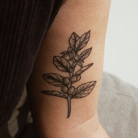 Coffee Leaf Tattoo, Coffee Branch Tattoo, Barista Tattoo, Coffee Leaf, Barista Life, Coffee Tattoo, Branch Tattoo, Mug Tree, Plant Tattoo