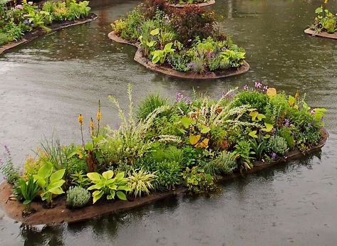 Floating Wetland, Bog Filter, Floating Gardens, Filter Ideas, Floating Islands, Floating Garden, Aquatic Ecosystem, Sea Can, Bodies Of Water