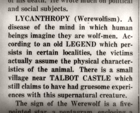 Werewolf Stories, Werewolf Aesthetic, Aesthetic Core, Magical Creatures, Character Aesthetic, Phone Themes, Mythical Creatures, Writing Prompts, Supernatural