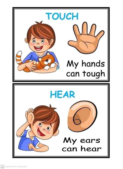 Familia Quotes, Playgroup Activities, Sense Organs, Senses Preschool, Teach English To Kids, Preschool Fine Motor Activities, English Activities For Kids, Preschool Reading, Preschool Activities Toddler