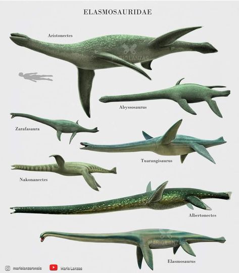 Extinct Sea Creatures, Underwater Dinosaurs, Aquatic Dinosaurs, Water Dinosaurs, Prehistoric Sea Creatures, Prehistoric Fish, Sea Dinosaurs, Prehistoric Wildlife, Prehistoric Dinosaurs