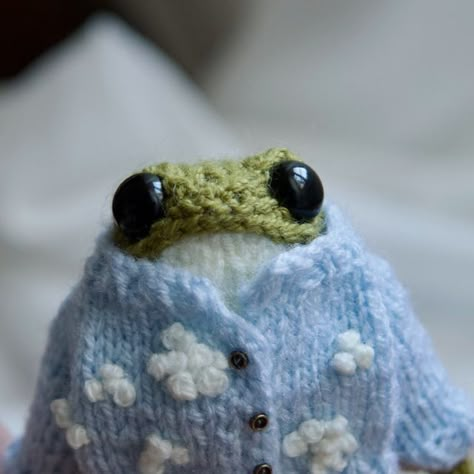 Knit Frog Pattern Free, Froggy Clothes, Frog Knitting, Knitted Frog, Frog Doll, Frog Pattern, Frog Frog, Cloudy Weather, Crochet Frog