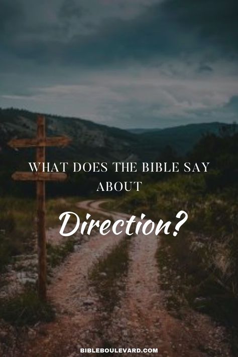 What Does the Bible Say About Direction? Trusting In God, Direction In Life, Study Notebook, Best Bible Verses, Bible Says, Bible Study Notebook, Bible Passages, A Compass, Trust God