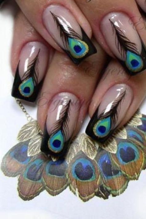 Peacock Nail Designs, Peacock Nail Art, Peacock Nails, Floral Nail Designs, Butterfly Nail Art, Animal Print Nails, Cat Eye Nails, Toe Nail Designs, Hot Nails