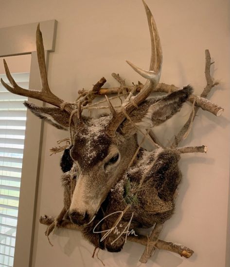 Who doesn’t love mule deer in the snow? Pack Out Mount Deer, Mule Deer Mounts, Backpack Deer Mount, Cool Taxidermy, Unique Taxidermy, Deer Mount Ideas, Deer Hunting Decor, Deer Hunting Tips, Deer Mounts