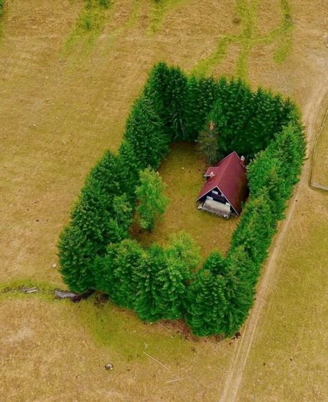 16 Isolated Houses That Can Bring Peace to Your Soul Wayne Dyer, Ryan Reynolds, E Card, Aerial View, Bones Funny, Funny Cute, A House, Make Me Smile, I Laughed