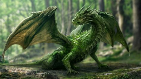 Emerald Guardian: The Majestic Forest Dragon Dragon Breathing Fire, Write Short Stories, Dragon Breathing, Majestic Forest, Emerald Dragon, Forest Dragon, Don Jon, Breathing Fire, Animal Education