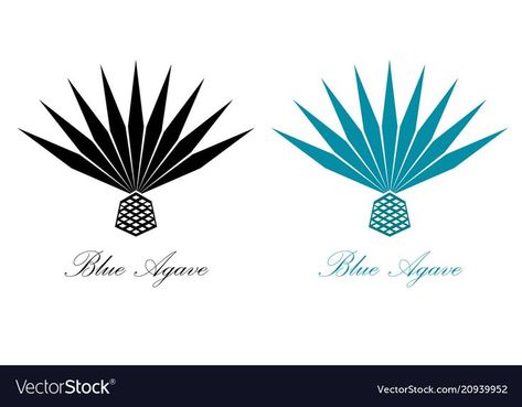 Oaxaca Wedding, Tequila Agave, Logo Items, Money Images, Agave Plant, Blue Agave, Tattoo Me, Agaves, Tattoos And Body Art