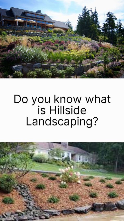 Hillside Landscaping Retaining Walls, Landscaping Ideas Sloped Yard, Hillside Landscaping Ideas Sloped Yard, Hillside Landscaping Low Maintenance, Landscaping Hillside, Hillside Landscaping Ideas, Types Of Gardens, Large Yard Landscaping, Rain Garden Design