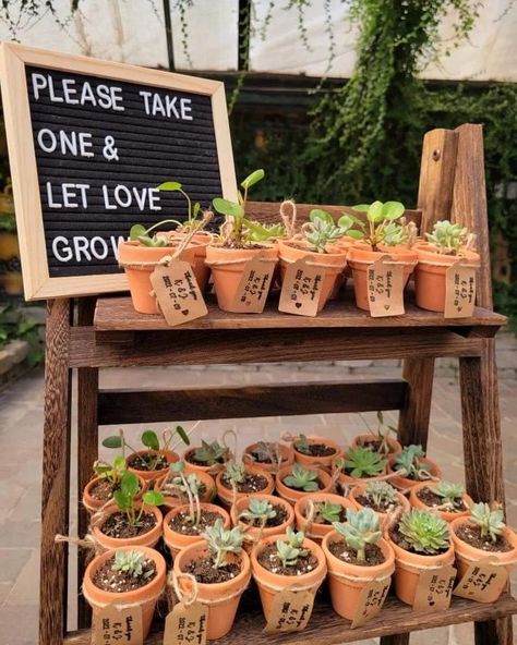 Wedding Gifts For Guests Plants, Take One And Watch Love Grow, Plant Pot Wedding Favour, Potted Plant Wedding Favors, Succulent Wedding Favors Display, Wedding Favor Plants, Wedding Plant Gift, Watch Our Love Grow Favors, Wedding Plant Favors