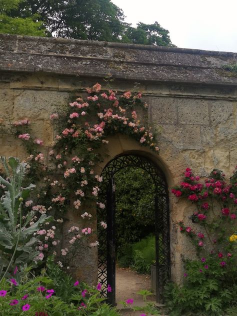 #flowers #archway #gates #flowers #coquette #aesthetic Archway Aesthetic, Fairy Archway, Gate Aesthetic, Gothic Archway, Coquette House, Flowers Coquette, Flower Archway, Arch Gate, Castle Doors