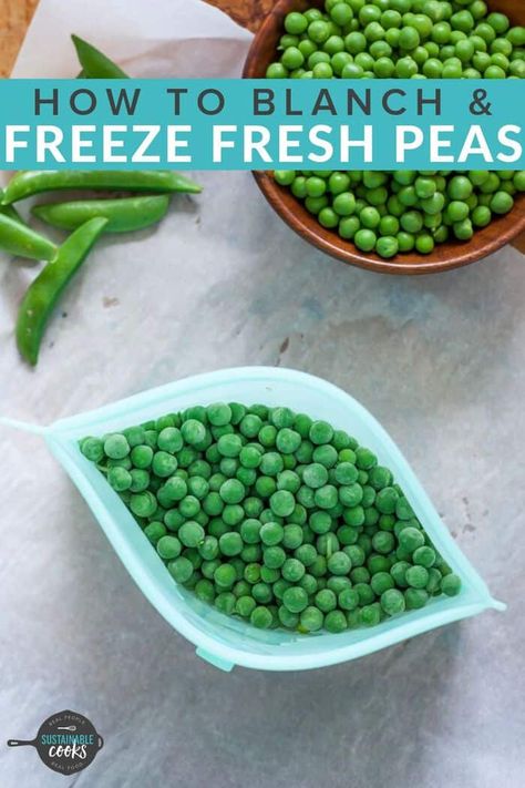 Preserving Peas, Vegan Homesteading, Fresh Pea Recipes, Freeze Vegetables, Canning Garden, Freezing Veggies, Snow Peas Recipe, Green Peas Recipes, Garden Peas