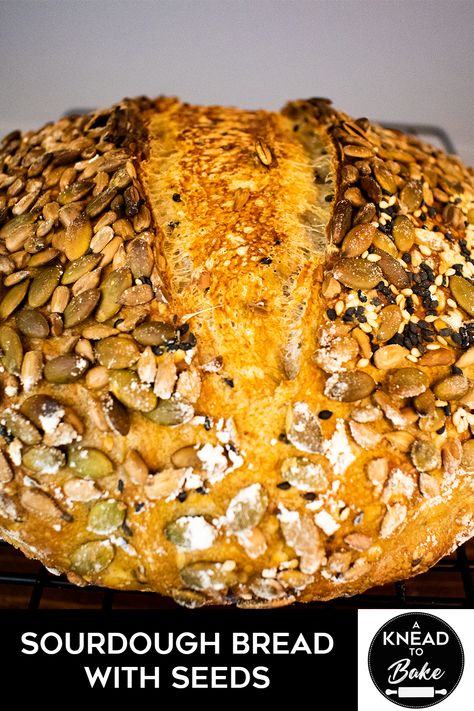 I love a good sourdough bread just as is but add some seeds and you elevate it to a whole new level. The nuttiness, crunch and softness of this bread make it a new favorite. Sunflower Sourdough Bread, Seedy Sourdough Bread, Sourdough Seed Bread, Seeded Sourdough Bread, Dakota Bread, Rolls Sourdough, Multigrain Sourdough Bread, Sourdough Basics, Soft Sourdough Bread