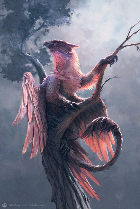 gryphon, Anastasiya RocketNeem on ArtStation at https://www.artstation.com/artwork/QraaZ8 Griffin Mythical, Mythical Monsters, Creature Artwork, Mythical Animal, Fantasy Beasts, 다크 판타지, Monster Concept Art, Fantasy Creatures Art, Fantasy Monster