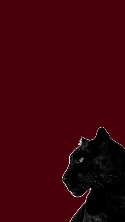 I just like it Red Wine Wallpaper, Wine Background, Wine Wallpaper, Dont Kill My Vibe, Dark Pictures, Red Wallpaper, Homescreen Wallpaper, Red Aesthetic, Black Panther