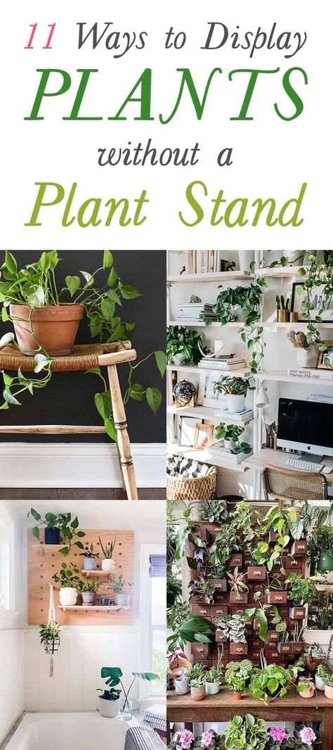 11 Ways To Display Plants Without A Plant Stand - The Cottage Market Ways To Display Plants, Indoor Plant Display, Plant Display Ideas, Indoor Plants Styling, Tattoo Plant, Indoor Plant Wall, Hanging Plant Wall, Hanging Plants Indoor, Inside Plants