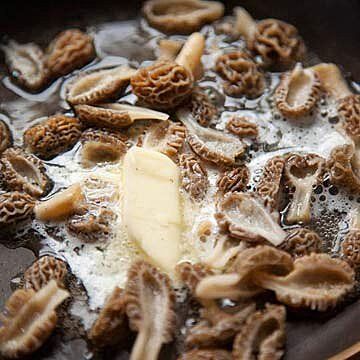 Sauteed Morel Mushrooms Moral Mushrooms, Morel Recipes, Morel Mushroom Recipes, Wild Mushroom Recipes, Mushroom Appetizers, Spring Pasta, Morel Mushrooms, Mushroom Cream Sauces, Morel Mushroom