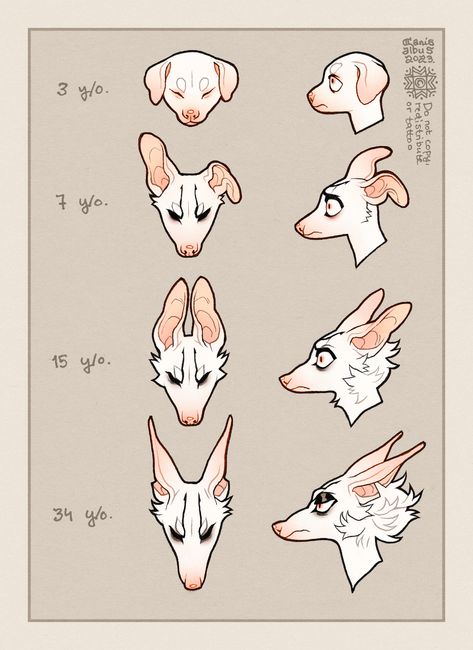 Memes Dog, Canine Art, Creature Concept Art, Arte Fantasy, Creature Concept, Dog Quotes, Dog Memes, Drawing Reference Poses, Art Inspiration Drawing