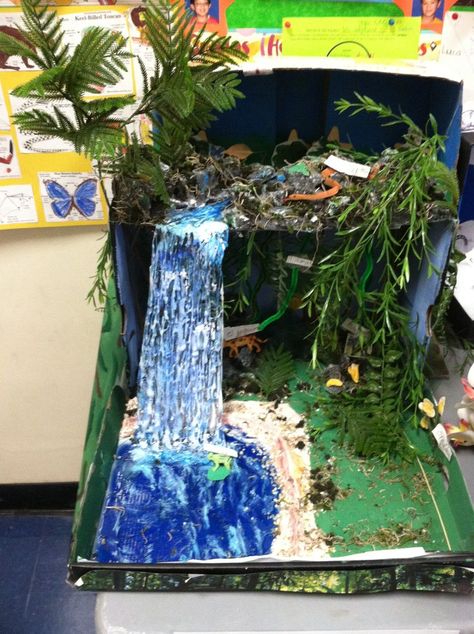 Biome Project Ideas, Rain Forest Diorama, Ecosystems Diorama, Biome Project, Biomes Project, Rainforest Ecosystem, Rainforest Project, Rainforest Biome, Diorama Kids