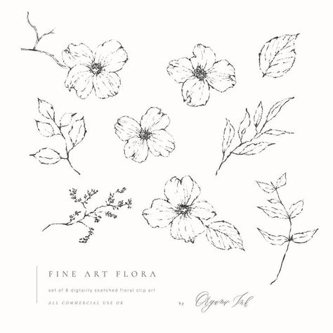 buy Fine Art Flora Clip Art. Inspired by simplicity this set includes digitally sketched dogwood flowers and foliage pieces. It is perfect to design fine art subtle wedding invitations and more. Dogwood Flower Tattoo, Dogwood Tattoo, Dogwood Flower Tattoos, Dogwood Blooms, Doodle Flowers, Flower Sketch, Dogwood Flower, Sky Art Painting, Flower Drawing Tutorials