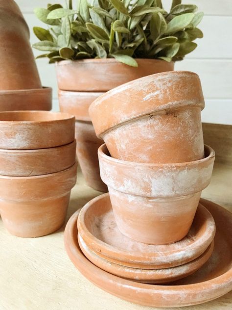 Aging Terra Cotta Pots, Terra Cotta Pots, Painted Terra Cotta Pots, Fragrant Plant, Terracotta Planter, Painting Trim, Painted Pots, Crafty Diy, Faux Plants