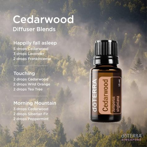 Mahogany Teakwood Essential Oil Blend, Cedarwood Diffuser Blends, Cedarwood Essential Oil Uses, Doterra Cedarwood, Amber Essential Oil, Cedar Essential Oil, Doterra Diffuser Blends, Doterra Essential Oils Recipes, Essential Oil Diffuser Blends Recipes