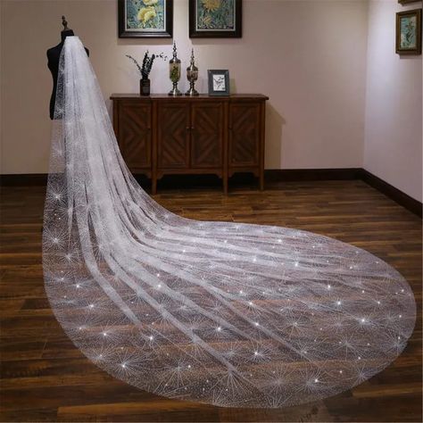 starry sky sparkling long wedding veil bridal veul Color:ivory Materials: glitter tull length:3*3.5m this veil is so brillent,bling bling bling so attractive if you wear it you can not move your eyes when you see it you will be the most beautiful women in your big day it can give you a dream Sparkling Wedding Veils, Long Wedding Veil, Starry Wedding, Ivory Bridal Veil, Cathedral Bridal Veils, Long Veil Wedding, Gold Tulle, Glitter Champagne, Layered Veil