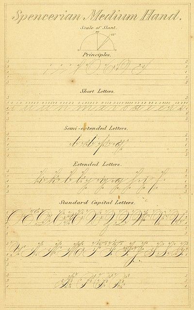 Spencerian Penmanship | Ames History Museum Ornamental Penmanship, Spencerian Penmanship, Spencerian Calligraphy, Drawing Calligraphy, Calligraphy Worksheet, Quill And Ink, Pointed Pen Calligraphy, Calligraphy Tutorial, Hand Lettering Practice