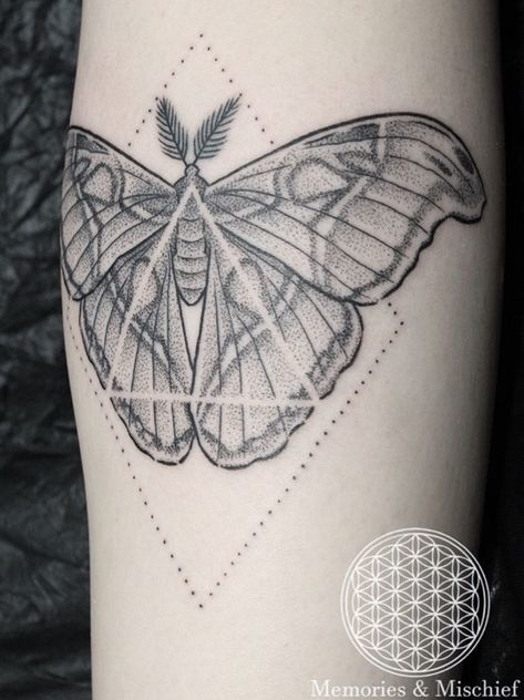 Dotwork Atlas Moth - Unique Design and Tattoo by Mister Mostyn | By Steven Mostyn | Done at Memories & Mischief Tattoo Studio | Jul 31st 2018 | 627480 Atlas Moth Tattoo, Moth Tattoo Ideas, Moth Tattoo Design, Atlas Moth, Moth Tattoo, Inspirational Tattoos, Tattoo Studio, Tattoos And Piercings, I Tattoo