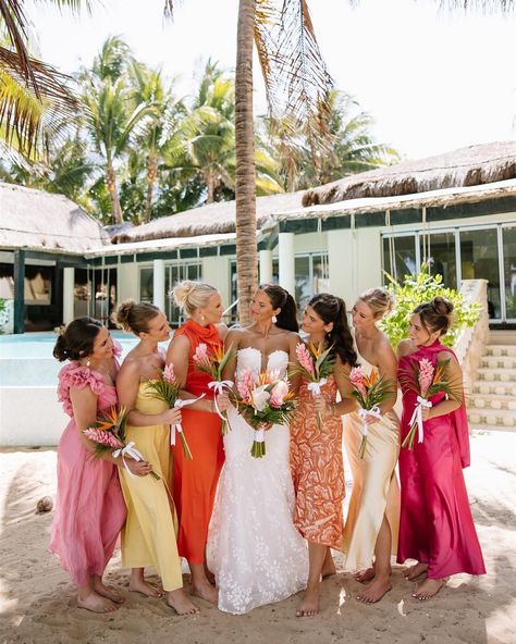 A lil Mexico moment 🌊🐚 Here is your sign to have a destination wedding!! •had so much fun helping out the wonderful @photoandfilmsbyabigale with her beautiful Cancún wedding!!🌴 #destinationwedding #wedding #weddingday #mexicowedding #weddingplanner #mexicowedding #weddingphotography #bride #weddingphotographer #weddinginspiration #weddinginitaly #weddingdress #destinationelopement #instawedding #destinationweddingphotographer #luxurywedding #italianwedding #groom #italywedding #weddings #... Fall Mexico Wedding, Mexico Wedding Color Schemes, Mexico Wedding Ideas Color Schemes, Mexico Wedding Colors, Tropical Wedding Bridal Party, Cabo Wedding Ideas, Mexico Wedding Party, Columbian Wedding, Tropical Bridesmaids