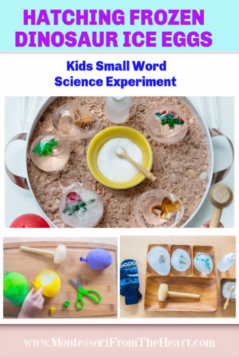 Frozen Dinosaur Egg Sensory Play | Montessori From The Heart Frozen Dinosaur Eggs, Play Dough Invitation, Dinosaur Sensory, Frozen Balloons, Dinosaur Activities Preschool, Dinosaur Egg, Dinosaur Activities, Dinosaur Eggs, Invitation To Play