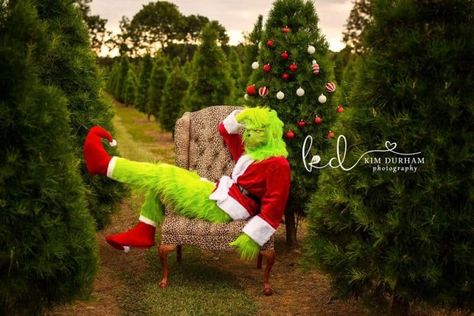 Grinch Mini Sessions, Funny Grinch Photoshoot, Grinch Photo Session, Grinch Christmas Photoshoot, Grinch Poses, Grinch Photoshoot Ideas, Grinch Photos, Grinch Photoshoot, Trashy Christmas