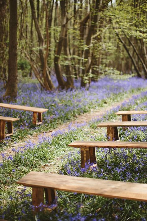 English bluebell wood wedding inspiration for Spring couples // The Natural Wedding Company // M & J Photography Natural Bridesmaid Dresses Color Schemes, Forest Wedding Altar, Forest Wedding Seating, Outdoor Wedding Ceremony Seating, Feywild Aesthetic, Wizard Wedding, Blush Color Wedding Dress, Forest Themed Wedding, English Bluebells