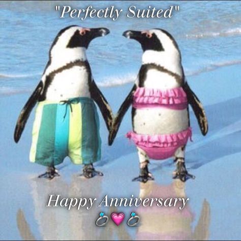 Happy Anniversary Funny, Happy Anniversary Quotes, Happy Anniversary Wishes, Happy Anniversary Cards, Anniversary Greeting Cards, Anniversary Greetings, Funny Anniversary Cards, Anniversary Funny, Mia 3