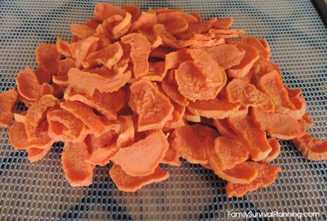 Store Sweet Potatoes, Dehydrating Food Storage, Sweet Potato Dishes, Yam Or Sweet Potato, Canning Food Preservation, Food Dehydrator, Sweet Potatoes For Dogs, Sweet Potato Chips, Dehydrated Food