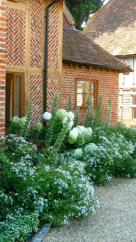 Hydrangea Annabelle, Acanthus & Aster Divaricatus stunning Hydrangea Annabelle Border, Hydrangea Cottage Garden, Hortensia Annabelle, Hydrangea Annabelle, Large Raised Garden Beds, Hydrangea Arborescens Annabelle, Hydrangea Arborescens, Corner Garden, Cottage Garden Design