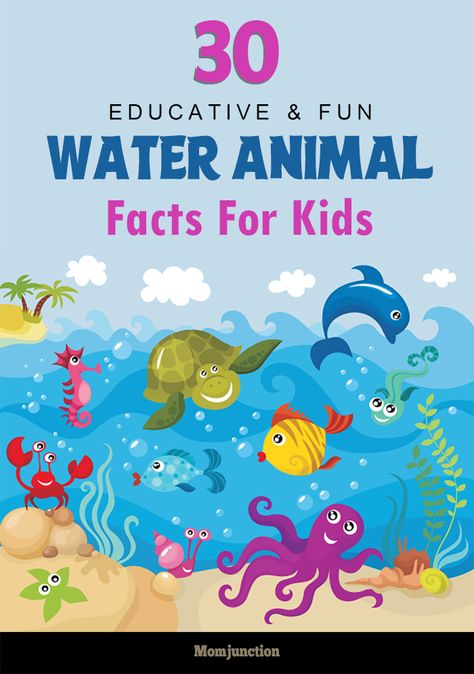 Water occupies more than 70% of the earth's surface. Understandably, oceans are home for numerous water animals. Just five percent of the earth's oceans Water Animals Preschool, Endangered Species Activities, Ocean Facts, Animal Fact File, Animal Information, Animal Facts For Kids, Water Facts, Teaching Lessons Plans, Animal Activities For Kids