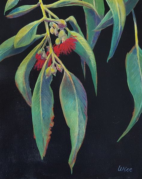 "Our time to shine 4" by Kate Wise. Paintings for Sale. Bluethumb - Online Art Gallery Gum Leaves Painting Acrylic, Leaves Painting Acrylic, Flowering Gum, Gum Trees, Gum Leaves, Australian Trees, Leaves Painting, Acrylic Ideas, Buy Art Online